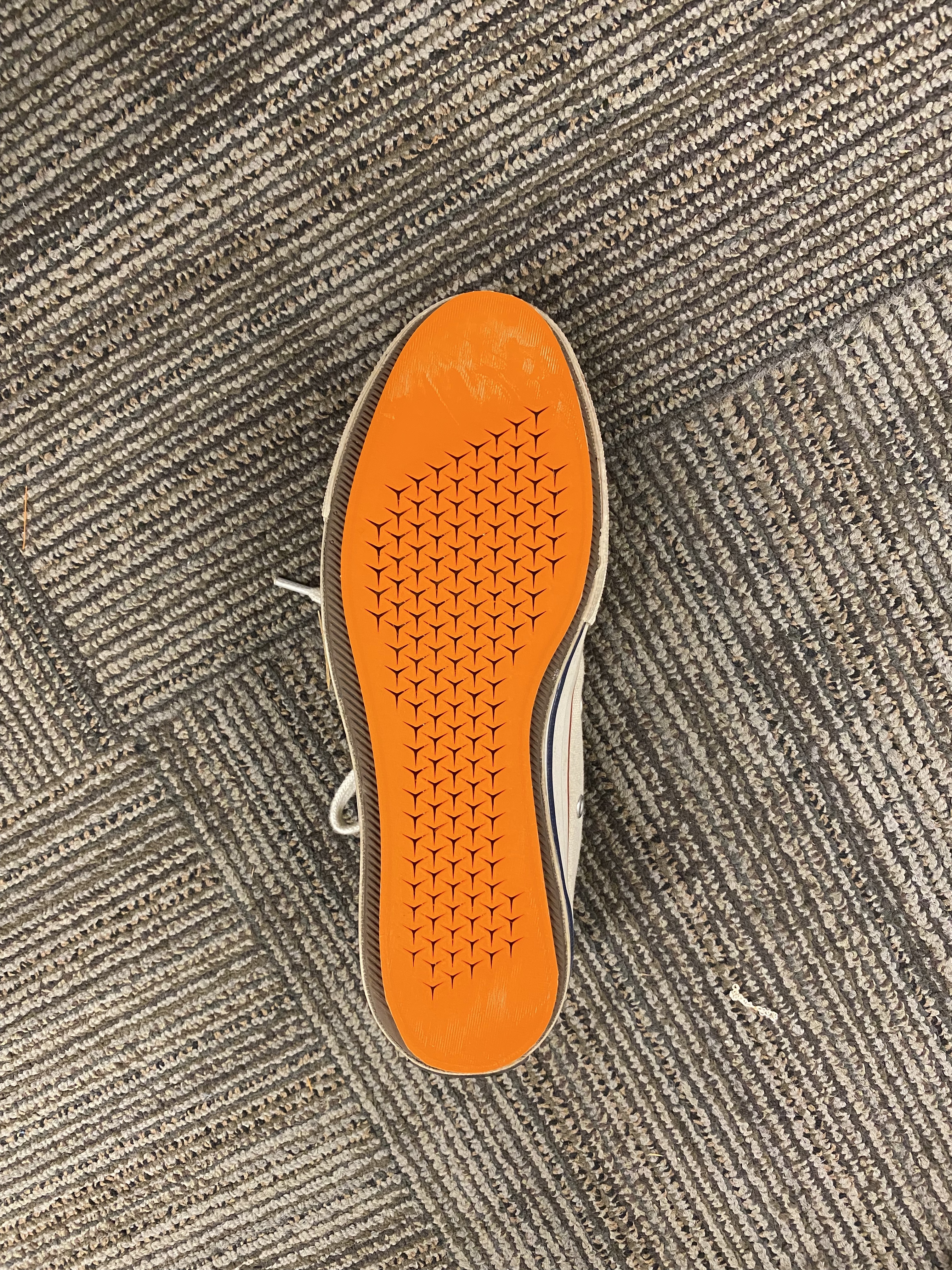 sole